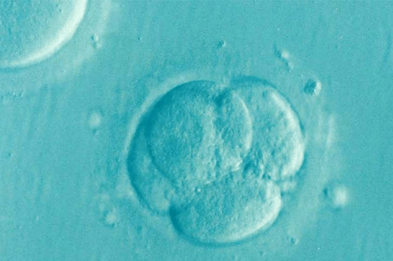 Close up image showing IVF